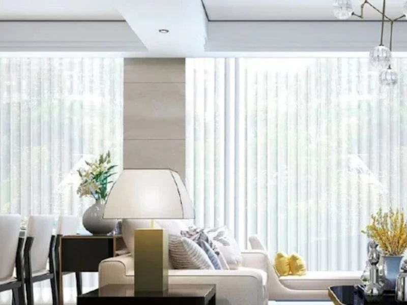 Ambi Voile Sheer Vertical CAT IMG2