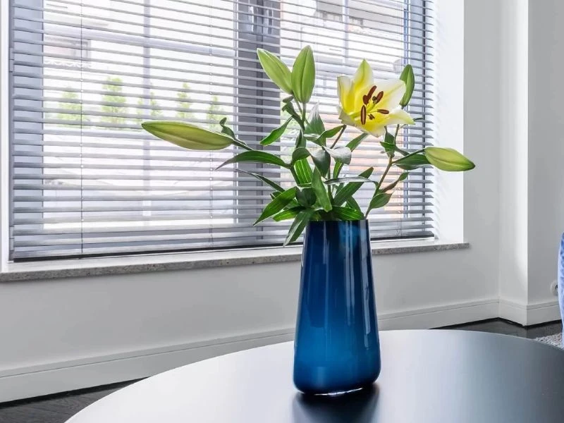 Eco supreme Venetian Blinds CAT IMG1