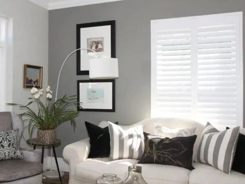 Living Area Shutters CAT IMG3