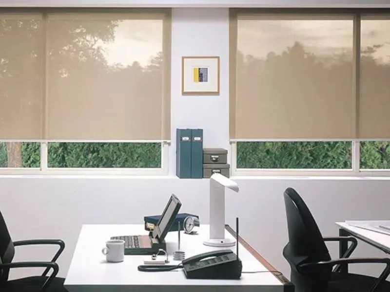 Roller Screen Blinds CAT IMG1